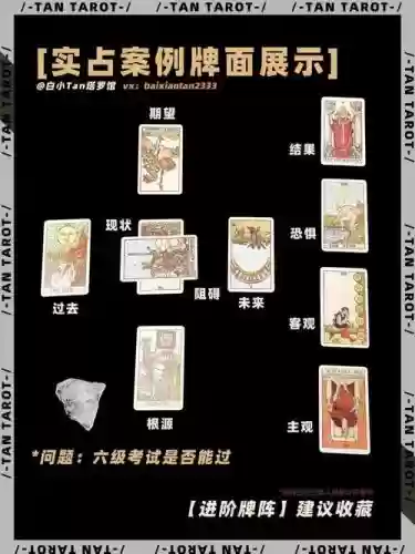普罗阵容搭配