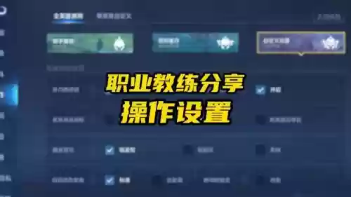 怎么设置王者技能图片，王者技能图案怎么调大