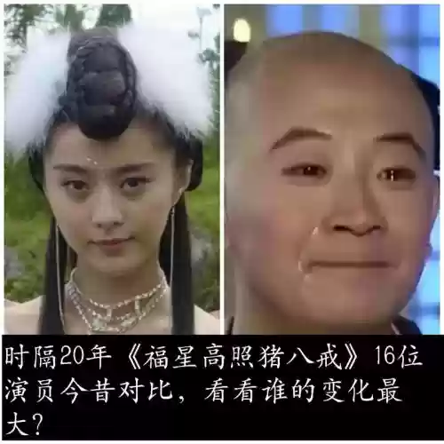 福星高照猪八戒阵容搭配，福星高照猪八戒角色介绍插图