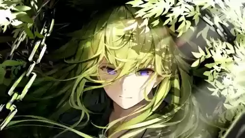 fate恩奇都技能本在哪插图