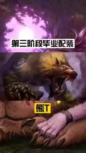 熊t装备精通，tbc熊t配装