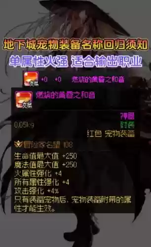 dnfpk宠物装备选择，dnf2021宠物装备怎么选插图