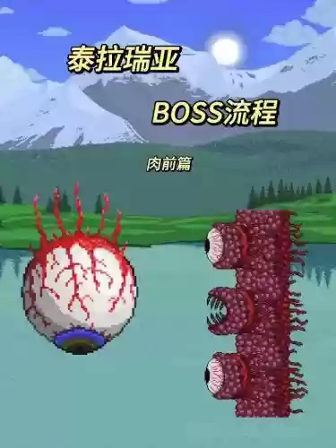 泰拉瑞亚肉攻略视频，泰拉瑞亚肉后打法