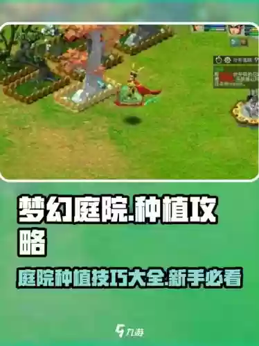 梦幻西游种花需要大型庭院吗，梦幻西游种植需要多大的庭院插图