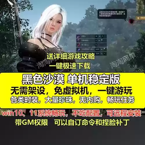 黑色沙漠阵容搭配推荐，黑色沙漠值得入坑吗插图