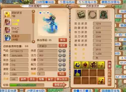 梦幻西游法系宝宝坐骑技能选择，梦幻西游法宠坐骑技能选择插图