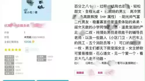 vbr攻略书，vb系列攻略插图1