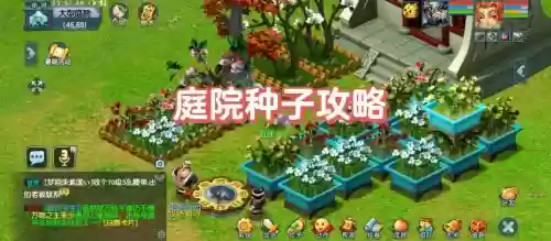 梦幻西游庭院都有什么，梦幻西游庭院大小和房子有关系吗