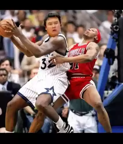 鲶鱼队阵容