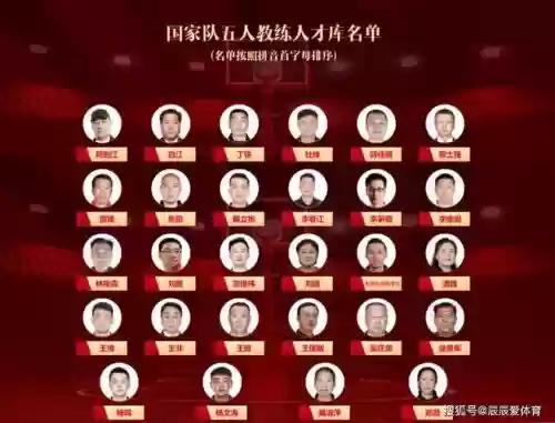 国家队篮球教练阵容搭配，国家队篮球教练是谁插图
