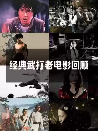 功夫电影武士阵容搭配，功夫电影 武术