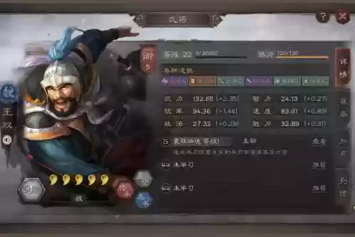 王双搭配阵容，王双怎么组队插图
