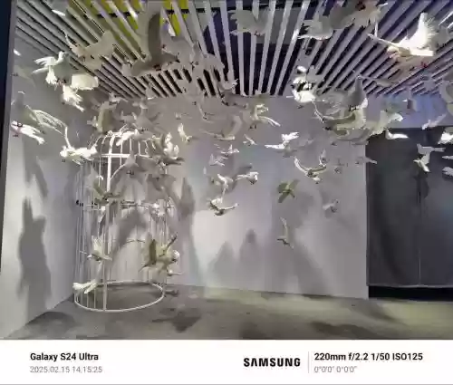 视觉盛宴最强阵容搭配，视觉盛宴什么意思啊插图