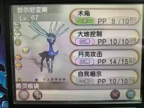 xy神兽捕捉攻略，宠物xy神兽插图