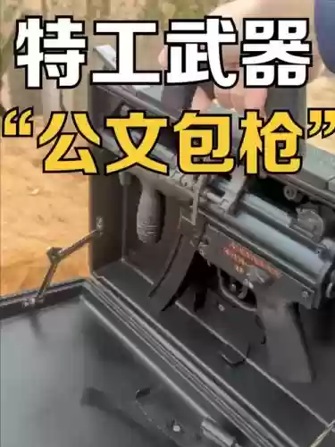 伪装的武器，伪装武器枪支大揭秘插图