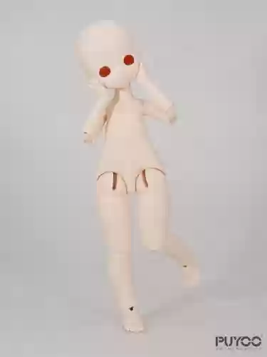 doll攻略走廊熊怎么过