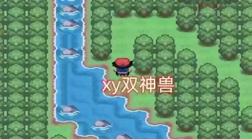 xy神兽捕捉攻略，宠物xy神兽