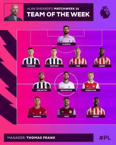 纽卡补强阵容搭配，纽卡补强阵容搭配图插图