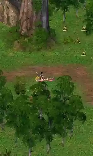 口袋仙踪完美攻略，口袋仙境插图