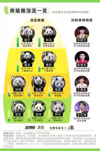 大熊猫超级豪华阵容搭配,大熊猫满级插图1 大熊猫超级豪华阵容搭配,大熊猫满级插图1